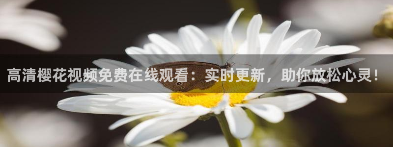 星空 电影