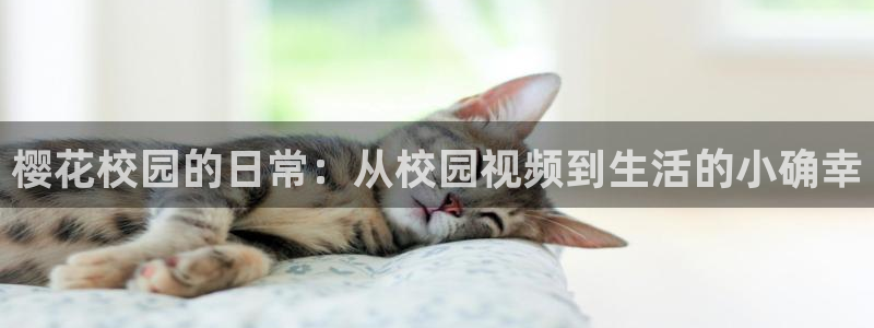 星空影视免费看高清mv