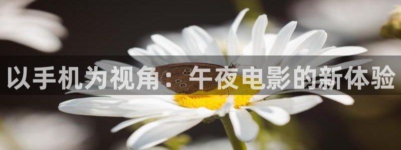 樱花视频高清版免费观看电视剧