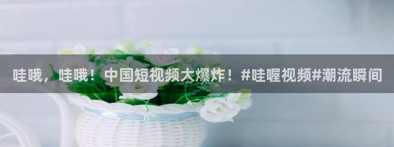樱花视频大全在线观看电视剧
