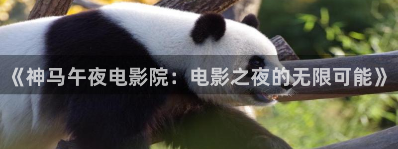 樱花视频免费在线看电影