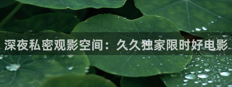电视剧那片星空那片海2