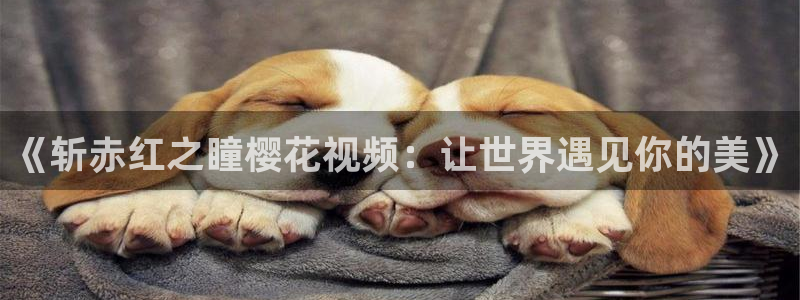 星空书