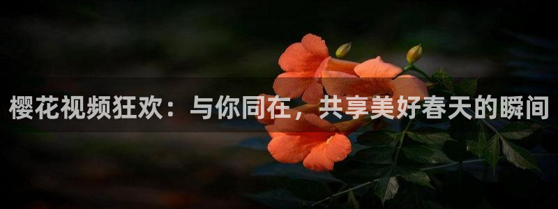 星空影视在线看