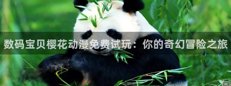 星空影视无限传媒