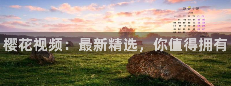 星空电影免费播放观看