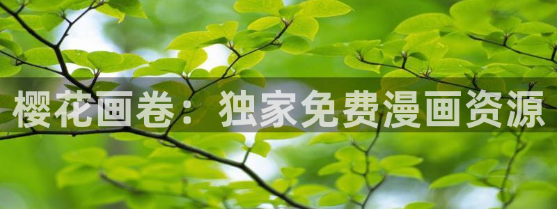 樱花视频手机电视剧
