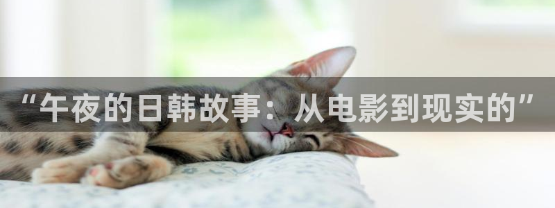 天美星空影视