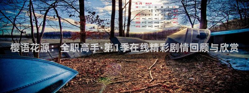 樱花视频电