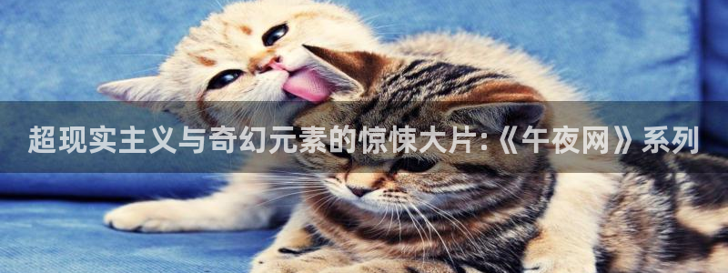 樱花视频电视剧免费观看