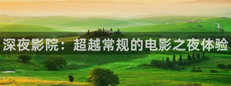 关于星空的视频