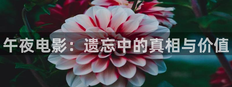 星空影视樱花视频