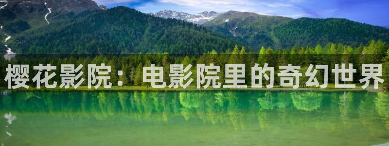 星空影视大全免费版官网