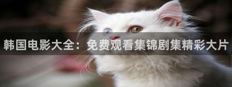 那片星空那片海免费观看全集