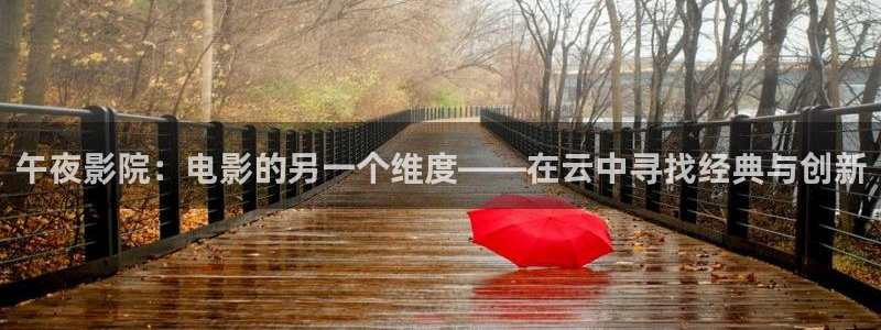 星空影视官网入口