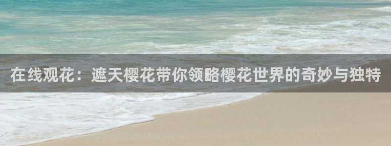 星空影视可信吗