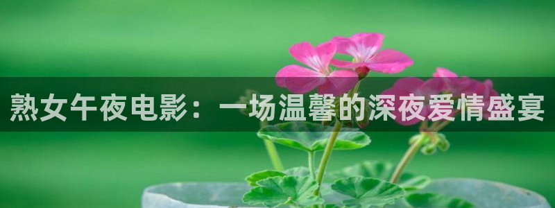 星空无限传媒影视在线观看