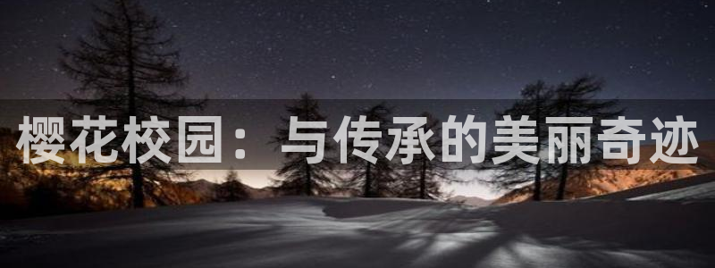 星空电影免费在线观看