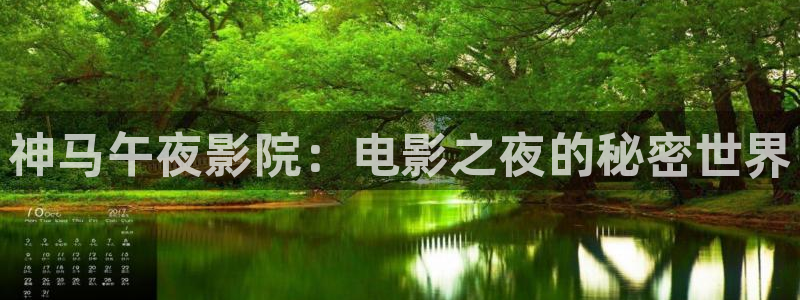 星空高清在线观看免费