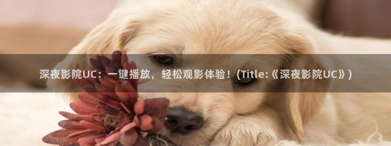 樱花视频视频