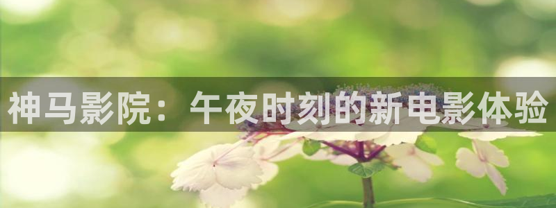 樱花视频好看的电影电视剧免费