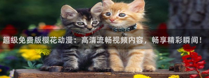 星空动漫免费观看高清完整版