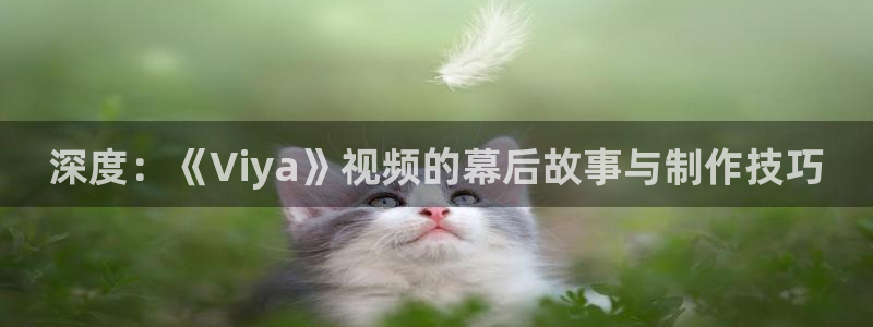 樱花视频大全在线观看电视剧