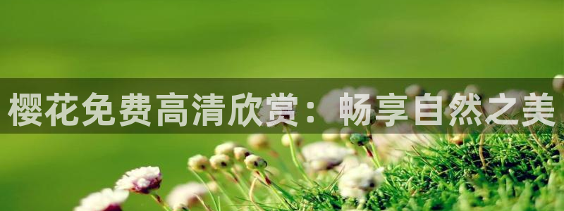 樱花视频电影在线观看动漫免费