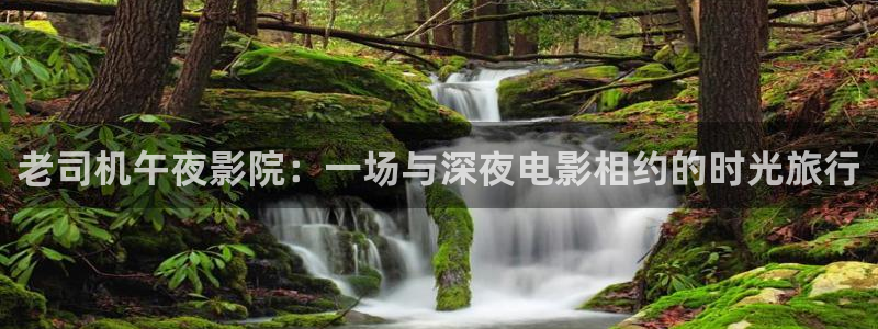 星空视频影视大全免费观看