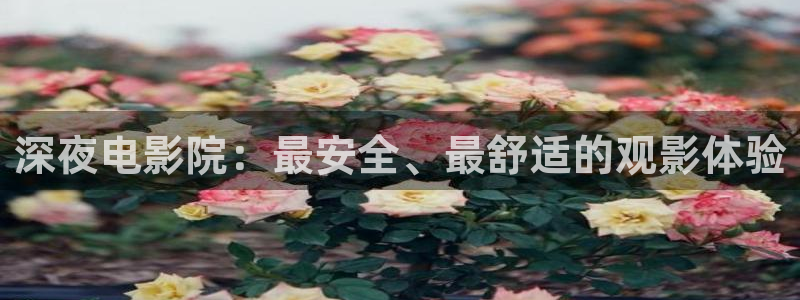 星空影视中国