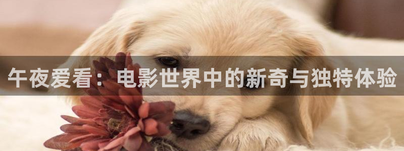 樱花视频免费观看全集