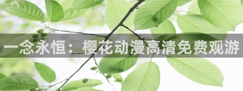 星空影视电视剧