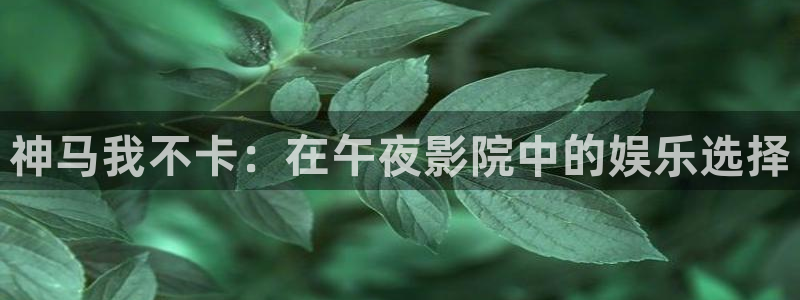 星空影城陇海路