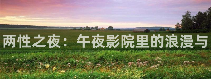 星空星辰影院官网入口
