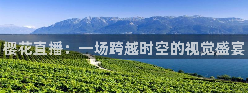 星空影视 中国